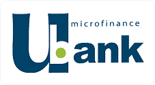 Partner 6